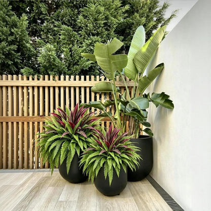 UV-Resistant Artificial Fern & Red Dracaena Decorative Plants – Full, Lush & Fade-Resistant!